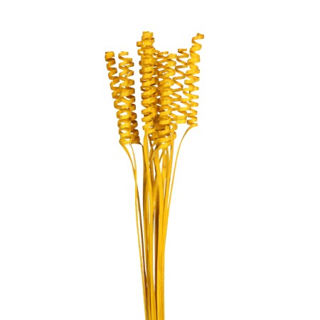 CANE SPRING X 15, 50 CM