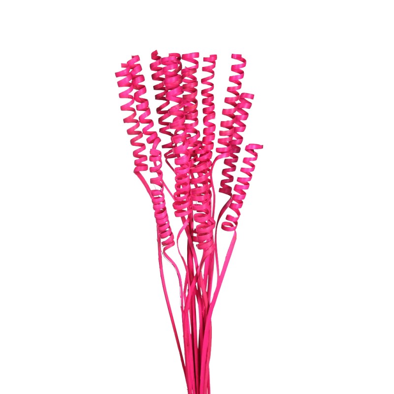 CANE SPRING X 15, 50 CM