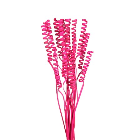 CANE SPRING X 15, 50 CM