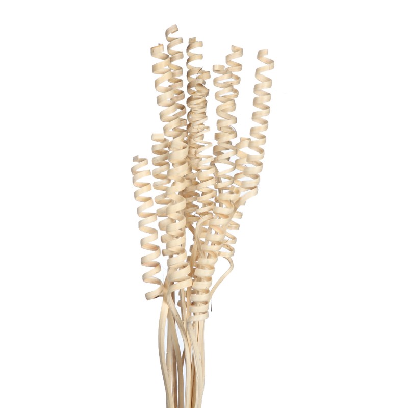 CANE SPRING X 15, 50 CM