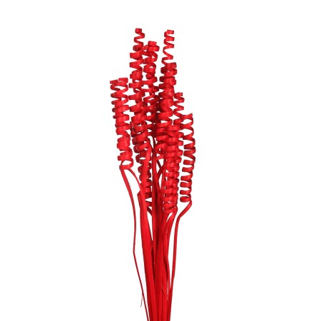 CANE SPRING X 15, 50 CM