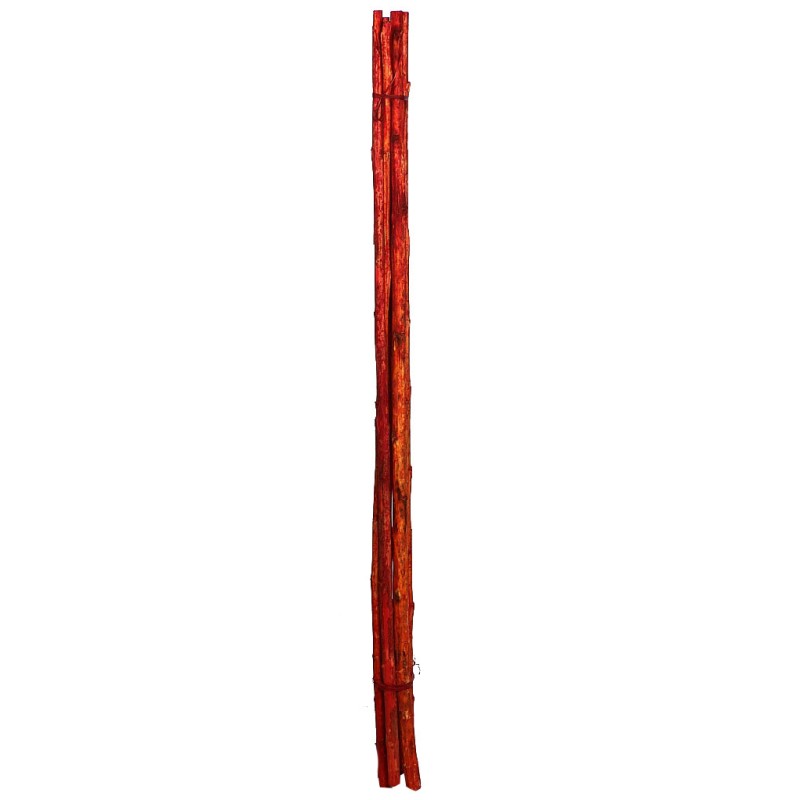 CAÑA 6UD 150CM