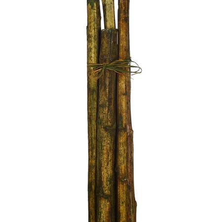 CAÑA 6UD 150CM