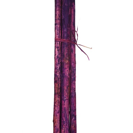 CAÑA 6UD 150CM
