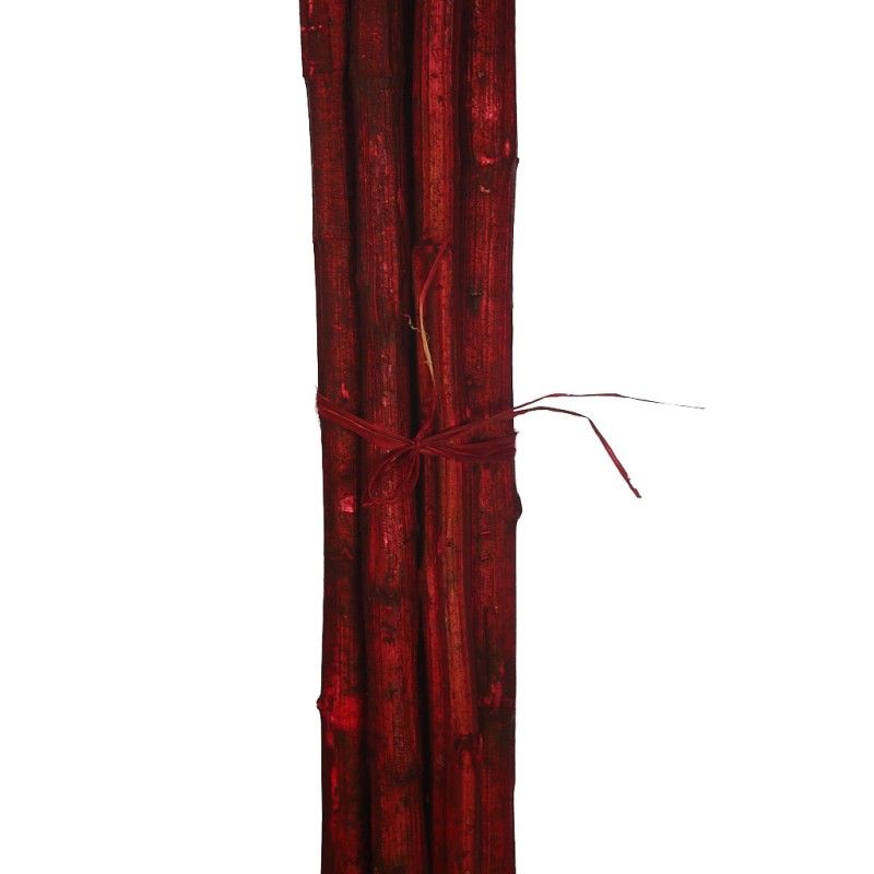 CAÑA 6UD 150CM
