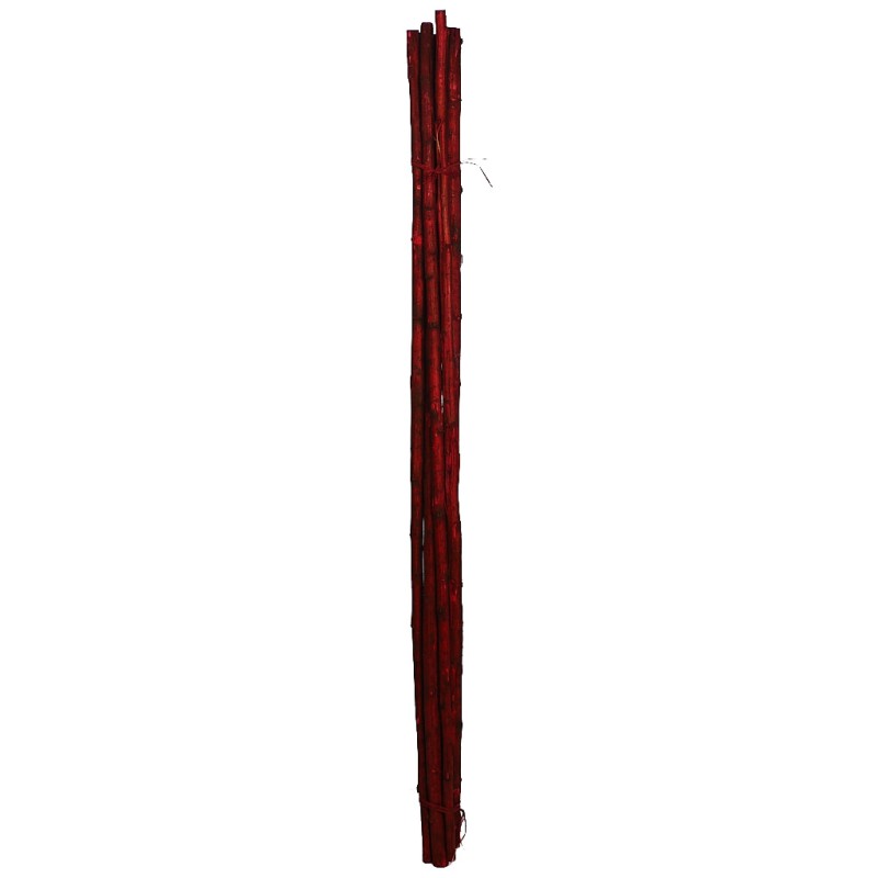 CAÑA 6UD 150CM