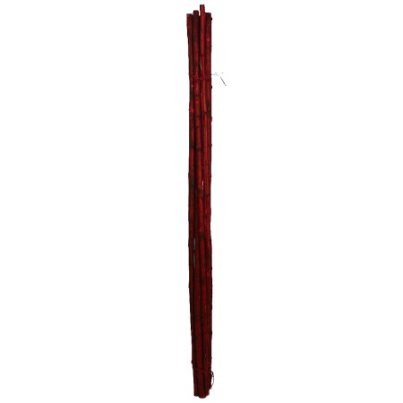 CAÑA 6UD 150CM