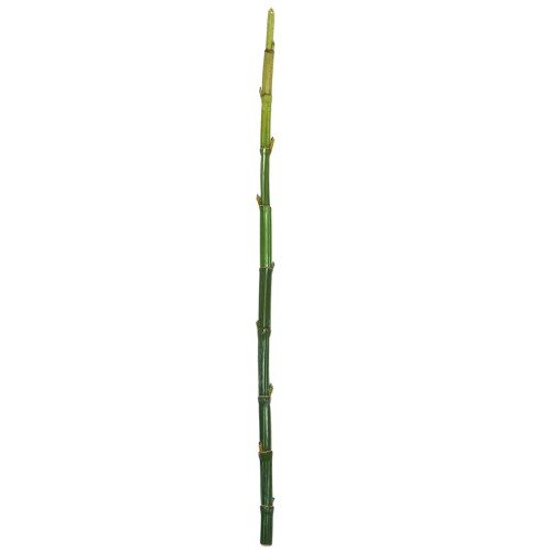 CAÑA BAMBU ARTIFICIAL 140CM 2