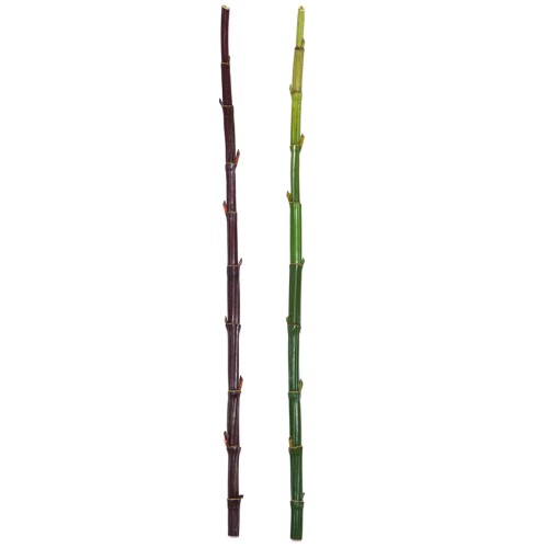 CAÑA BAMBU ARTIFICIAL 140CM