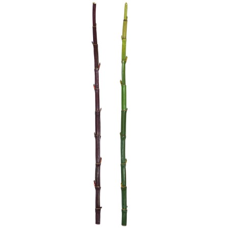 CAÑA BAMBU ARTIFICIAL 140CM