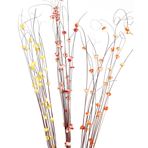 COCO BELI DRAGON 15UD 100CM