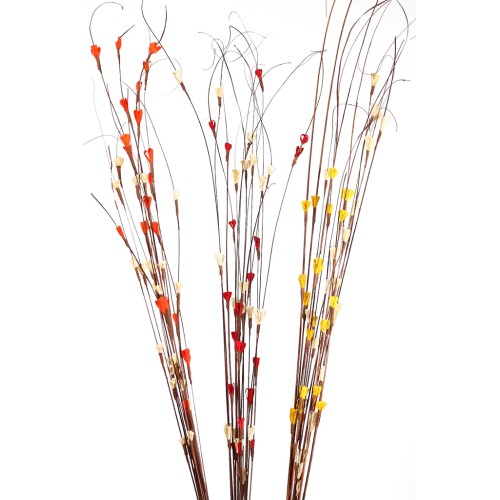 COCO MAIZE (3IN1) 15UD 100CM