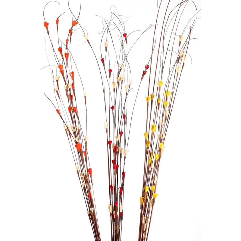 COCO MAIZE (3IN1) 15UD 100CM