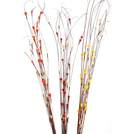 COCO MAIZE (3IN1) 15UD 100CM