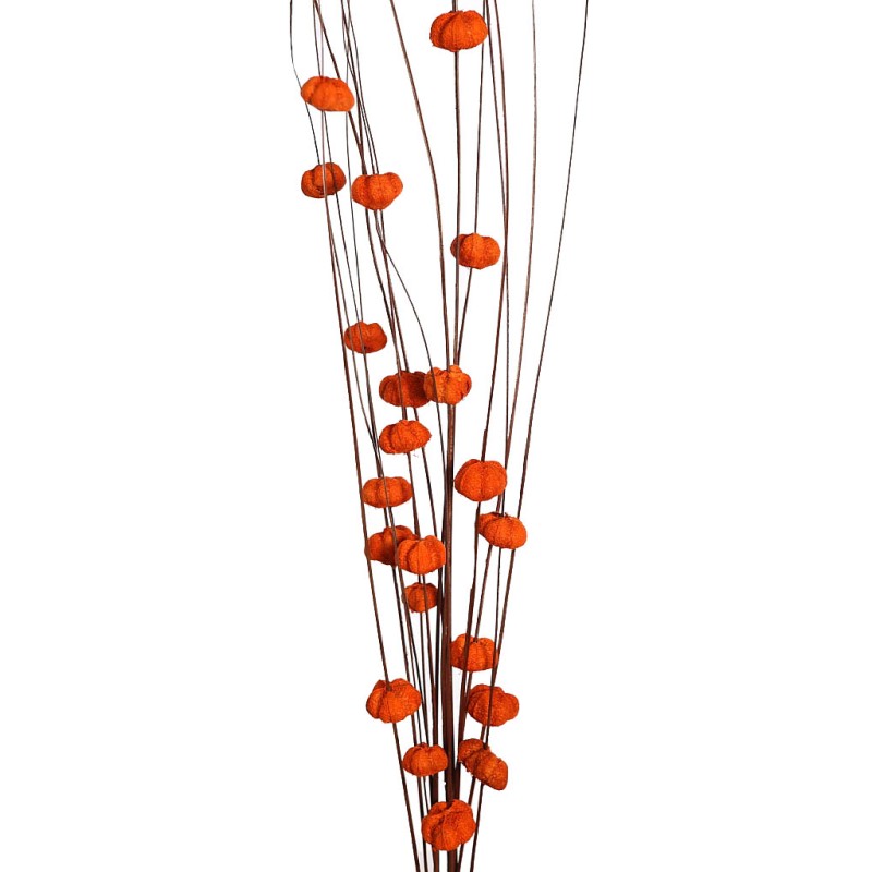 COCO PARAS X15 104CM
