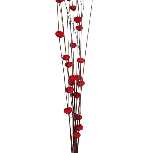 COCO PARAS X15 104CM 2