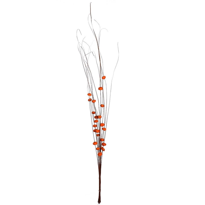 COCO PARAS X15 104CM