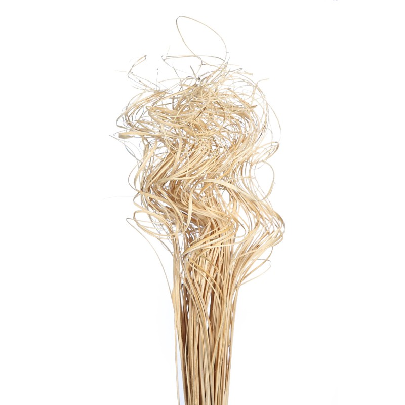 CURLY TING TING POMO 225GRMS, 70 CM