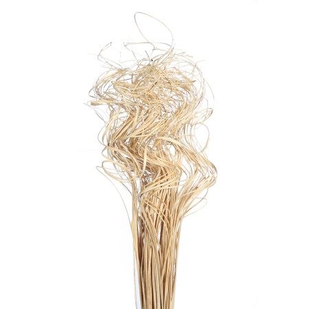 CURLY TING TING POMO 225GRMS, 70 CM