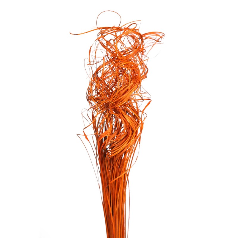 CURLY TING TING POMO 225GRMS, 70 CM