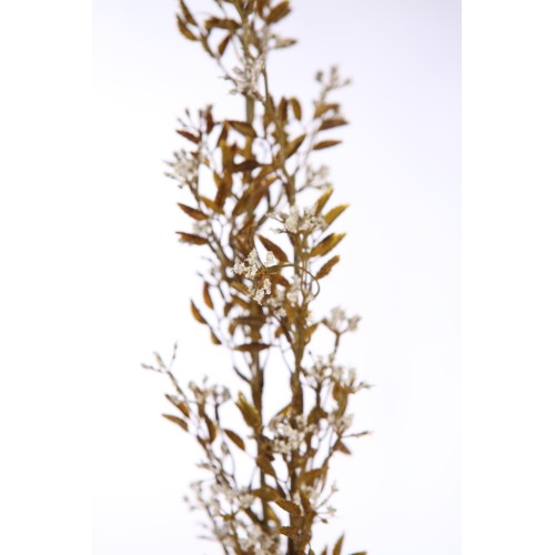 ENELDO ARTIFICIAL 90CM 2