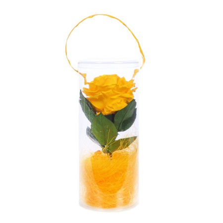 ESTUCHE DE ROSA ETERNA PERFUMADA PRESERVADA 25CM