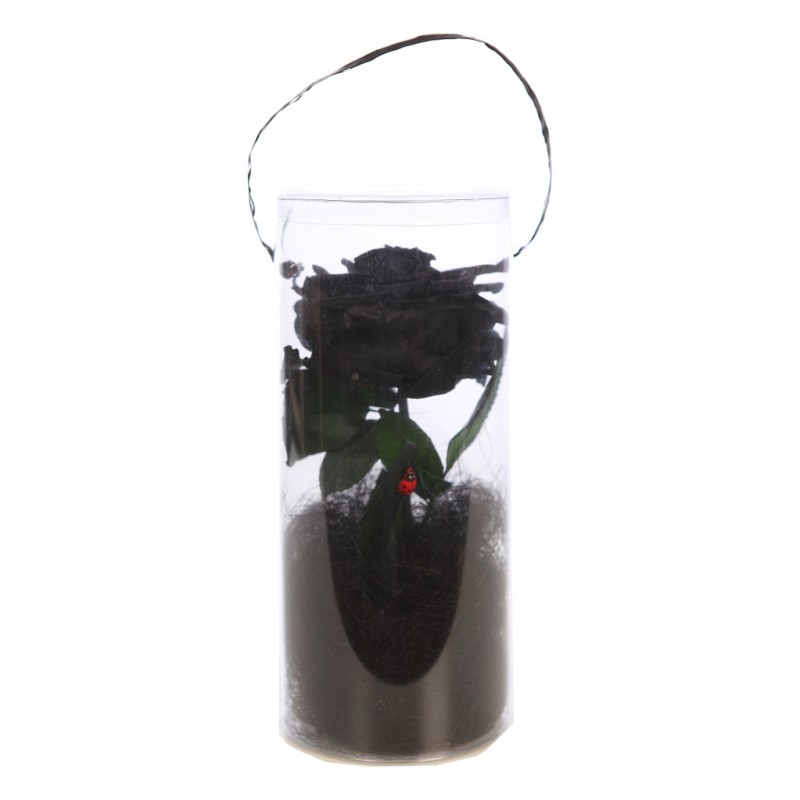 ESTUCHE DE ROSA ETERNA PERFUMADA PRESERVADA 25CM