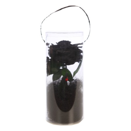 ESTUCHE DE ROSA ETERNA PERFUMADA PRESERVADA 25CM