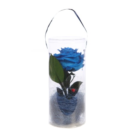 ESTUCHE DE ROSA ETERNA PERFUMADA PRESERVADA 25CM