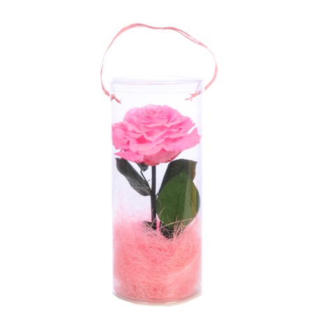 ESTUCHE DE ROSA ETERNA PERFUMADA PRESERVADA 25CM