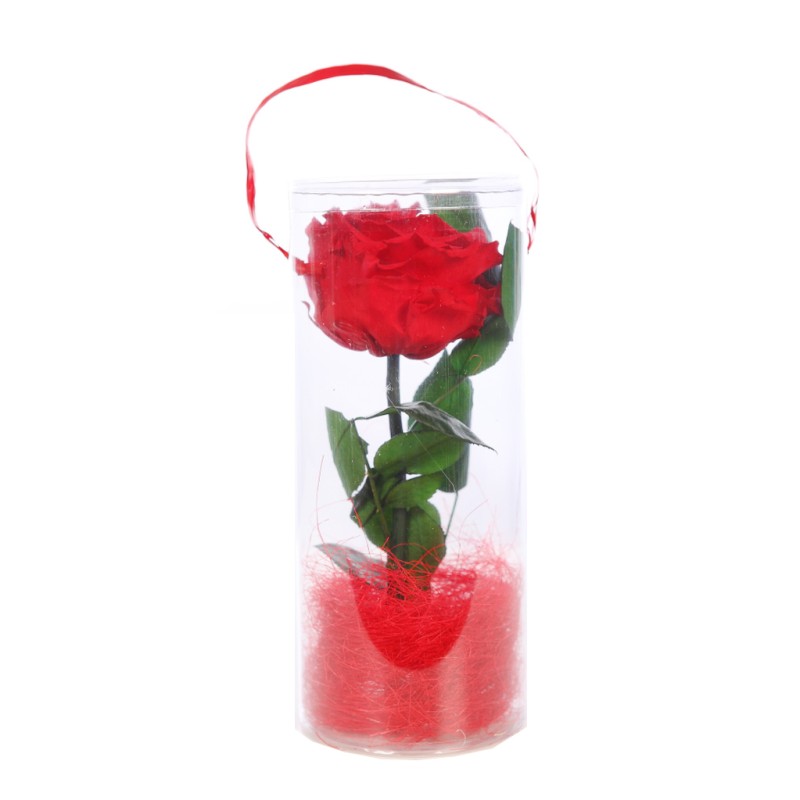 ESTUCHE DE ROSA ETERNA PERFUMADA PRESERVADA 25CM