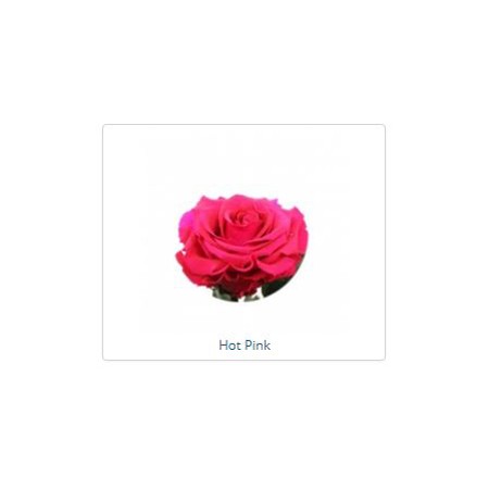 ESTUCHE ROSA NATURAL ETERNA PRESERVADA 55CM