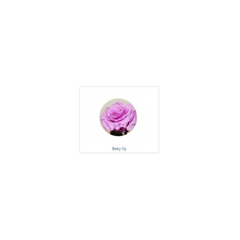 ESTUCHE ROSA NATURAL ETERNA PRESERVADA 55CM
