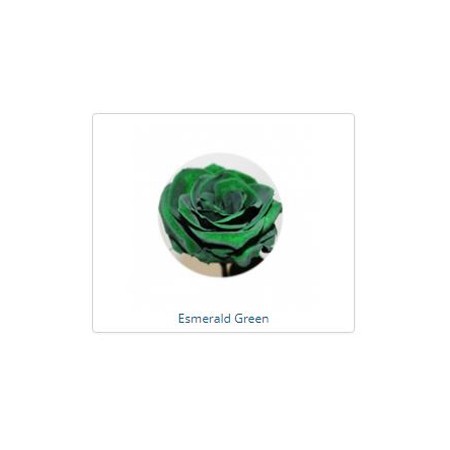 ESTUCHE ROSA NATURAL ETERNA PRESERVADA 55CM