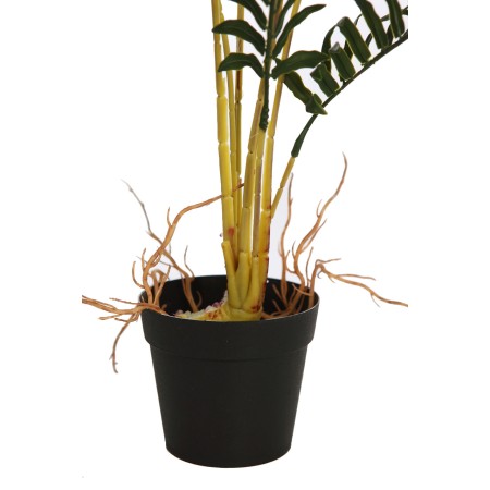 HELECHO RAICES CON MACETA 50CM