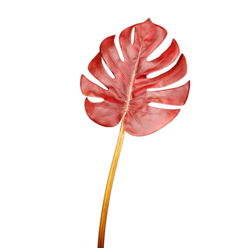 HOJA DE MONSTERA 68 CM