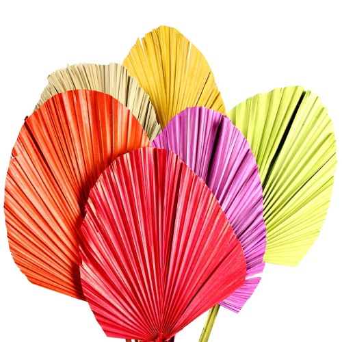 HOJA DE PALMA 5UD 85CM