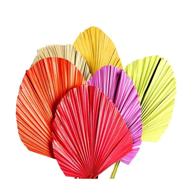 HOJA DE PALMA 5UD 85CM