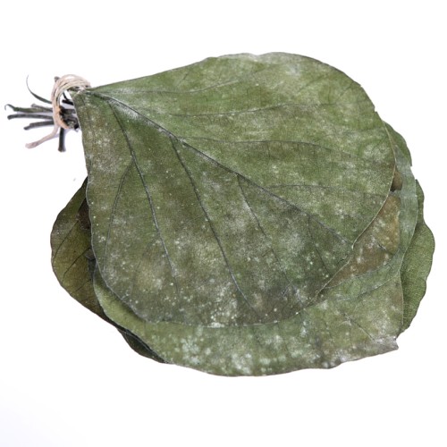 HOJAS COBRA BOLSA 25UD 19CM