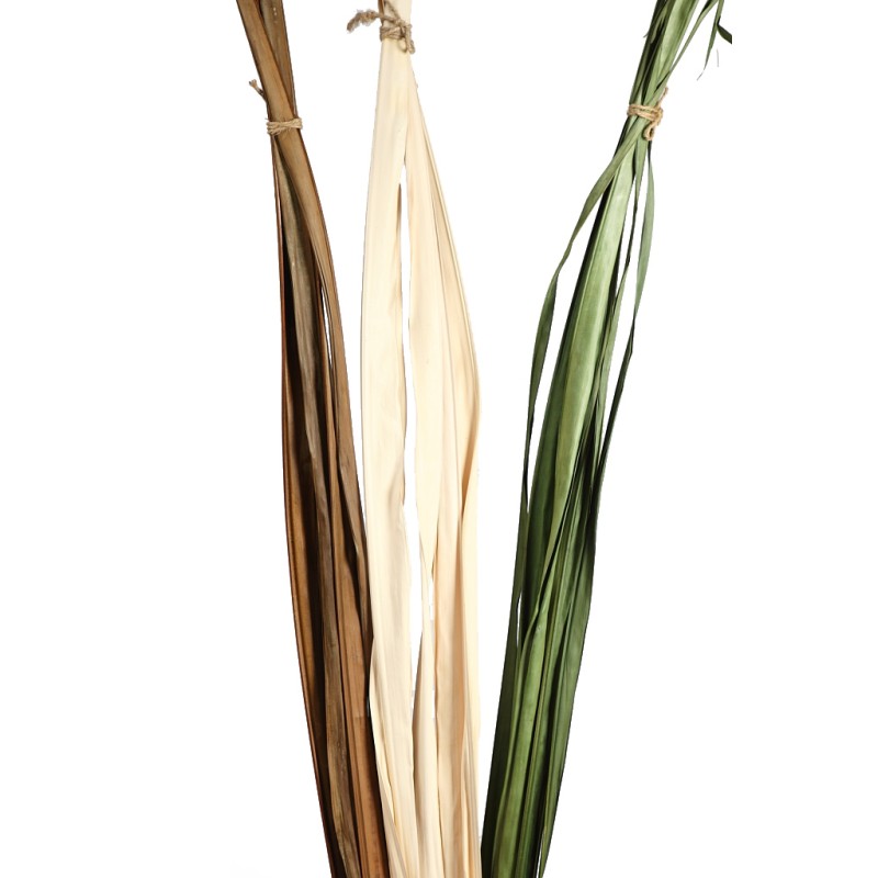 HOJAS DE BURI SECO 180CM