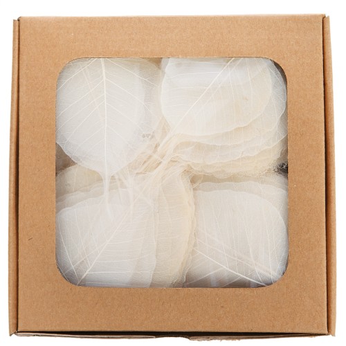 HOJAS SKELETOR 200 PCS, ø 10CM