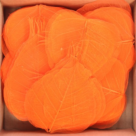 HOJAS SKELETOR 200 PCS, ø 10CM