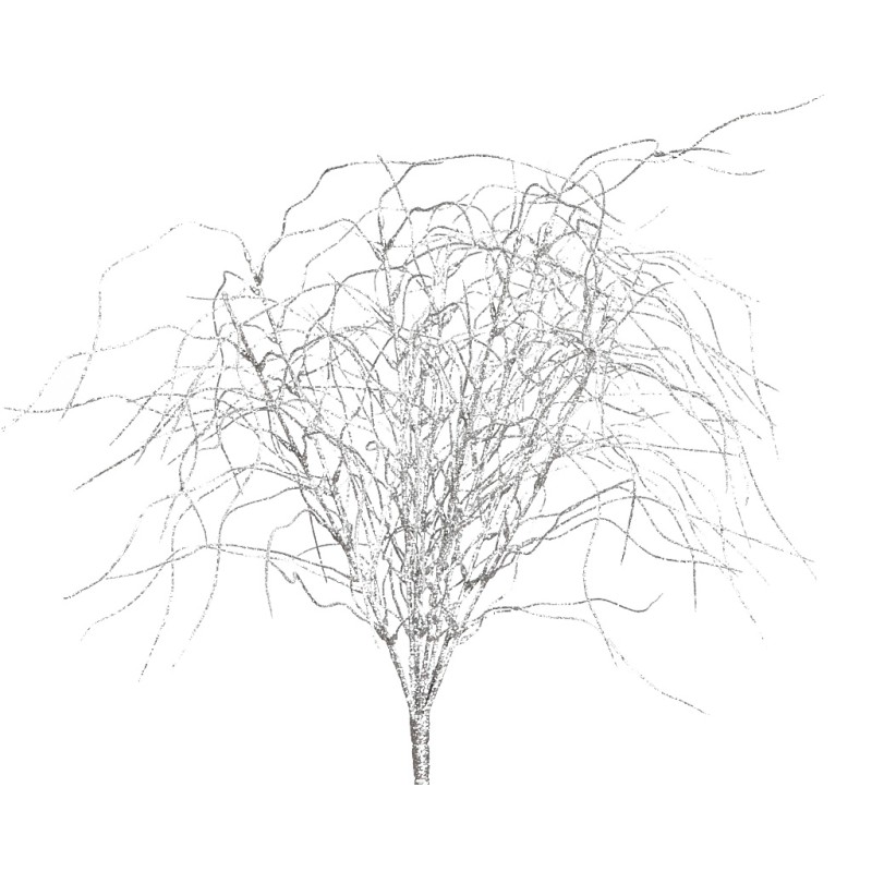 LILY GRASS, MATA X 9 40 CM