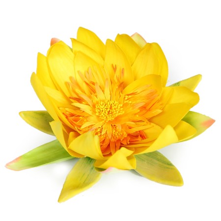 LOTUS FLOTANTE ø 20CM