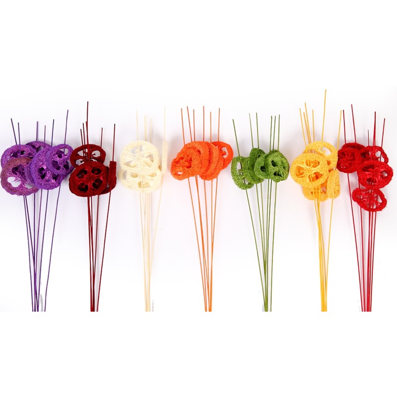 LUFA EN RODAJAS CON PALO 6UD 70CM