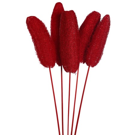 LUFFA CON VARA X5 70CM