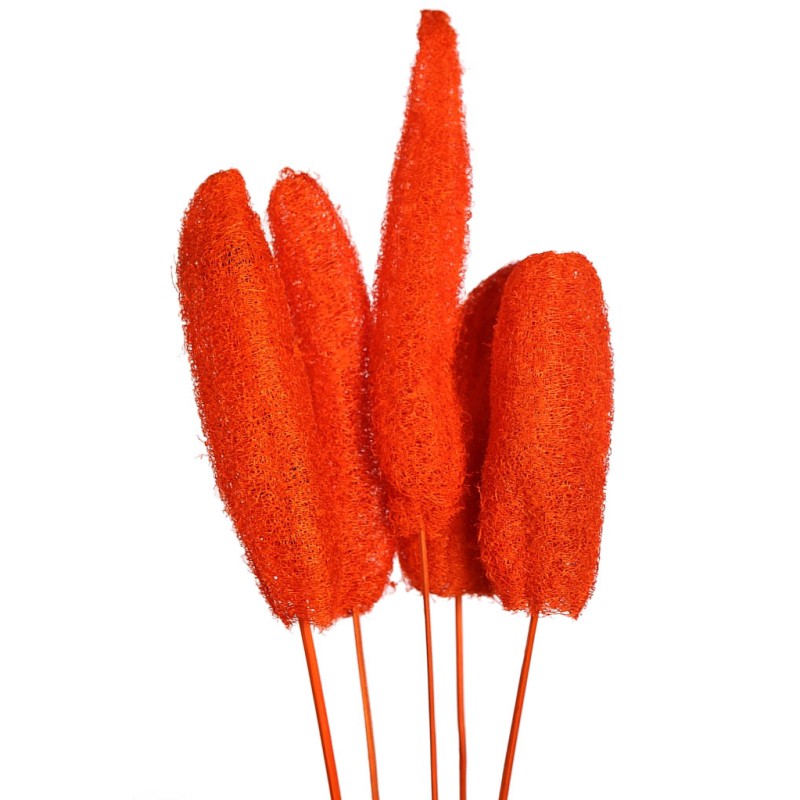 LUFFA CON VARA X5 70CM