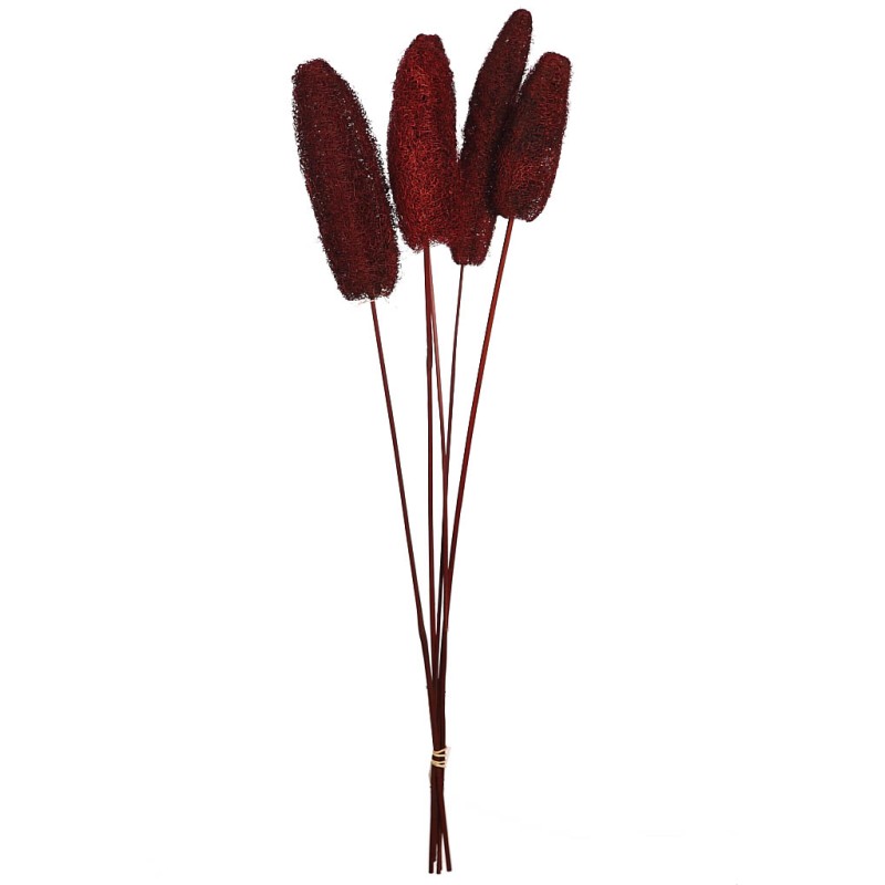 LUFFA CON VARA X5 70CM
