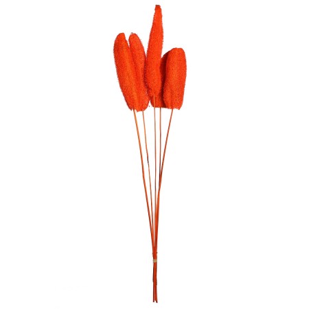 LUFFA CON VARA X5 70CM