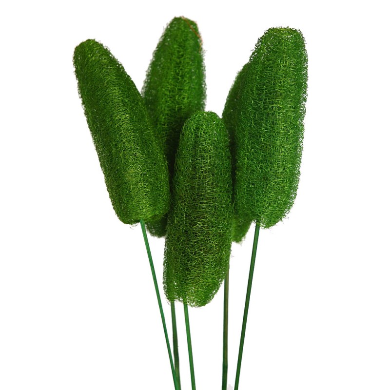 LUFFA CON VARA X5 70CM